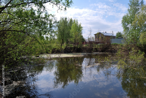 Forest pond