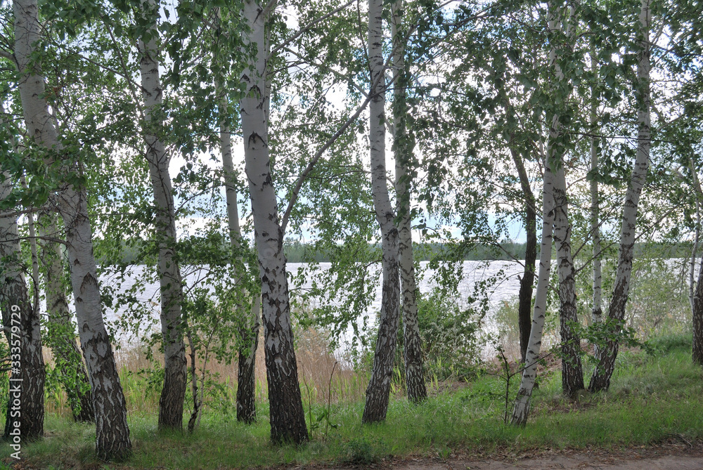 Fototapeta premium Spring high water on the Irtysh River