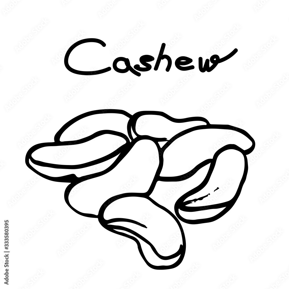 Cashew linear element.Graphic sketch. Hand drawn. Simple illustration Cashew linear element.Graphic sketch. Hand drawn. Simple illustration