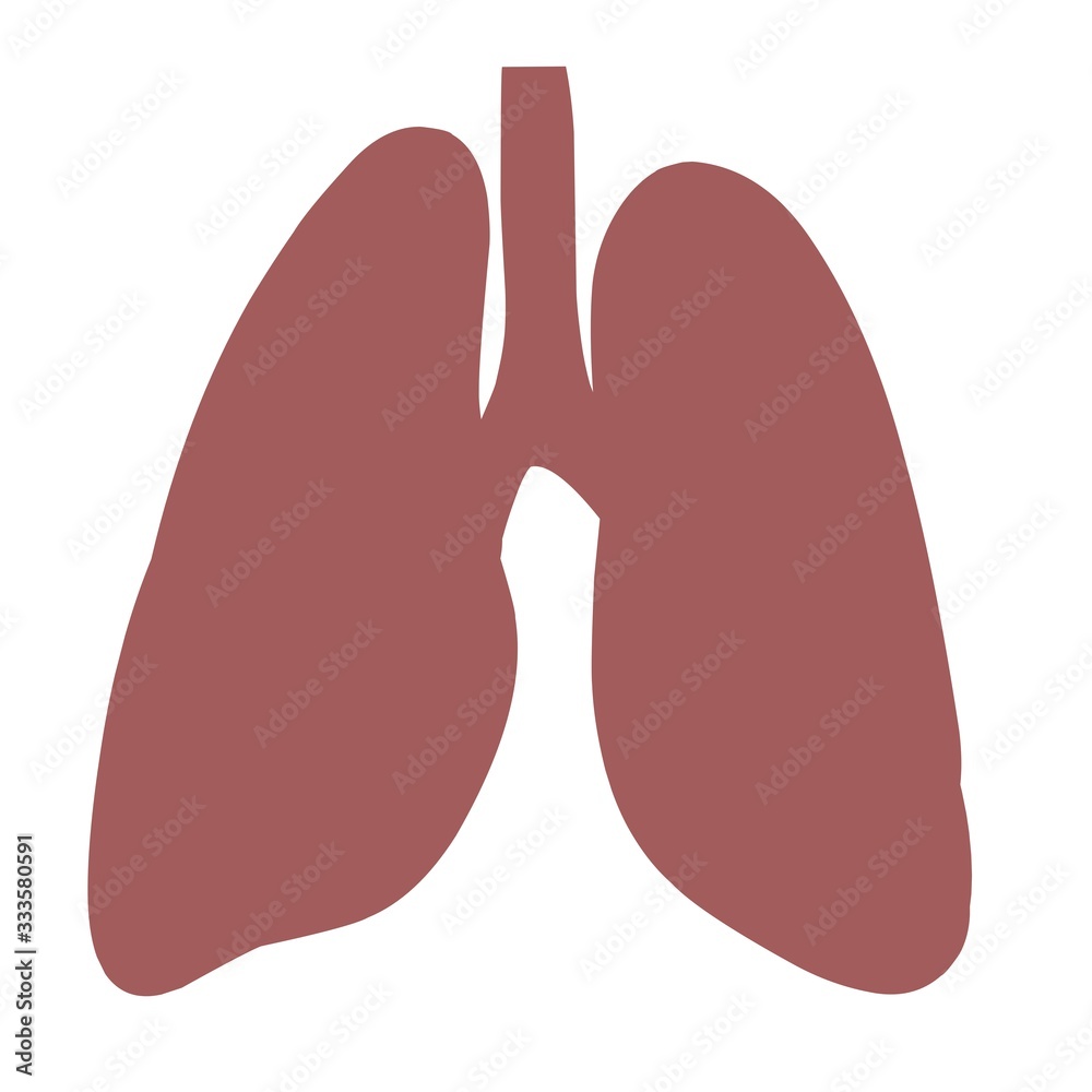 Simple design of illustration lungs Simple design of illustration lungs