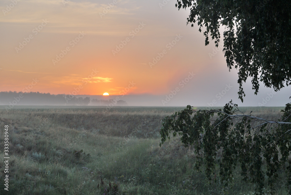 Obraz premium Morning in the field