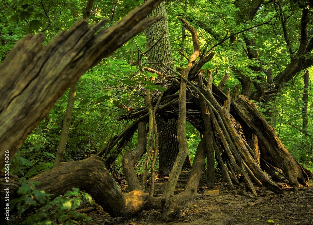 hut made of branches in the forest