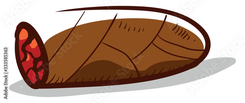 Cigar drawing, illustration, vector on white background