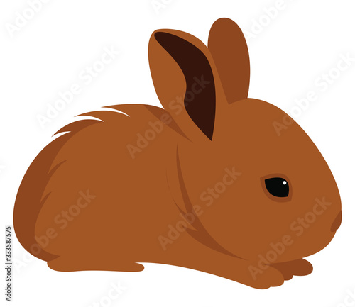 Little brown rabbit, illustration, vector on white background