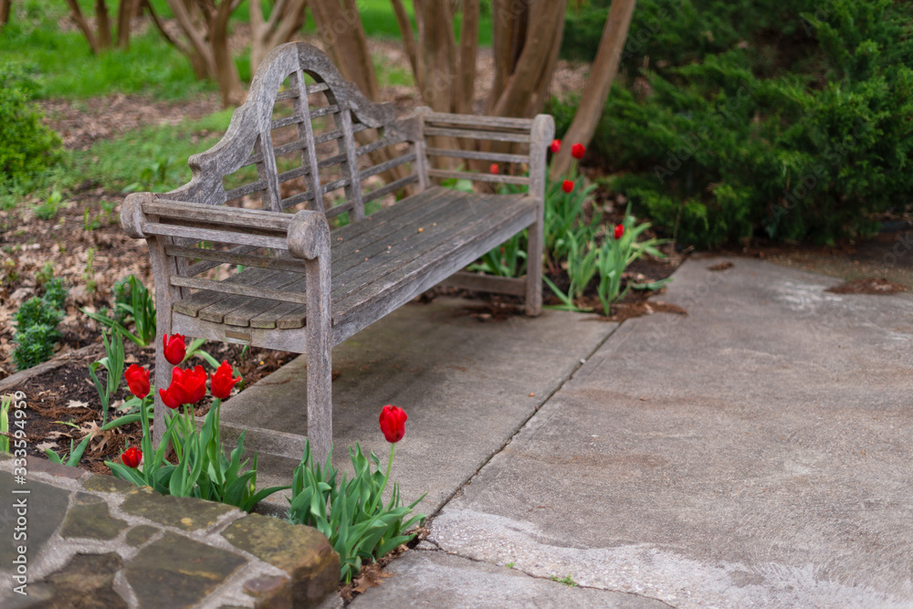 Country Bench Tulips
