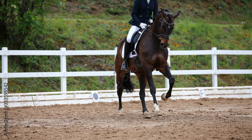 Dressage horse with rider galloping from the front..