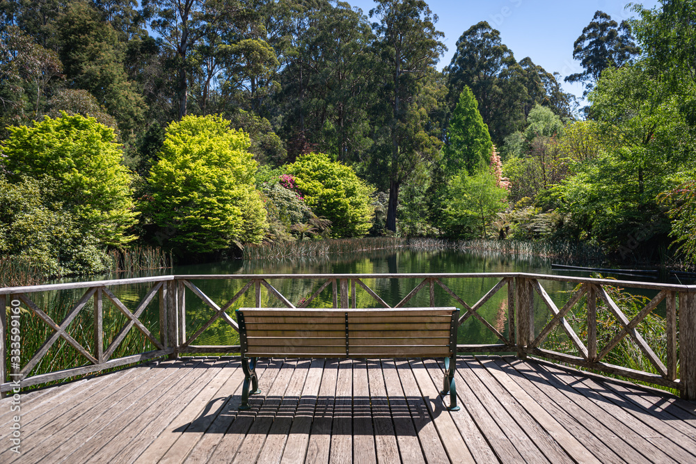wooden bench in the park wooden bench in the park