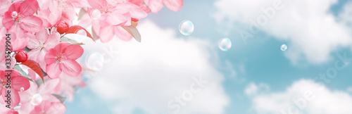 Pink sakura flowers and soap bubbles against the clouds sky
