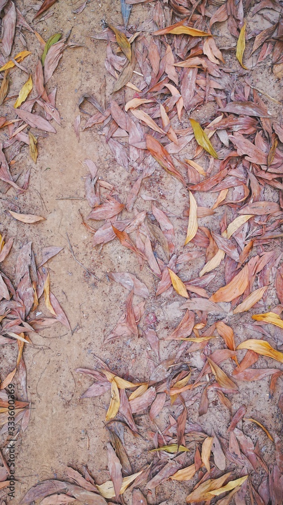 The leaves fell on the ground.