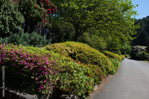 path in the garden