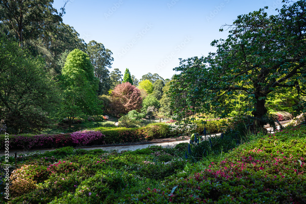 Fototapeta premium garden in spring