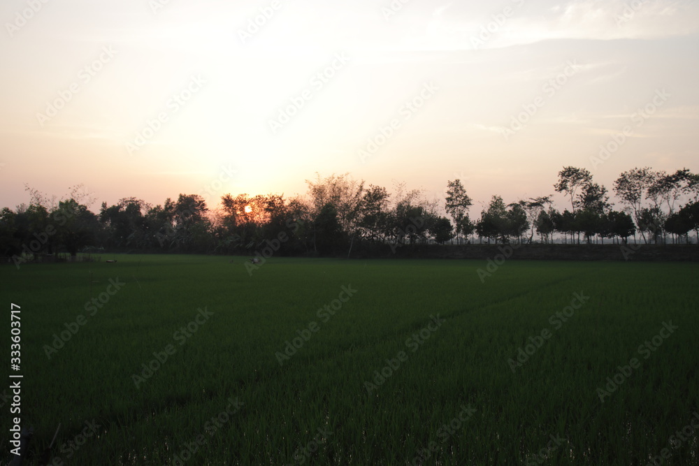 Sunset in Village Sunset in Village