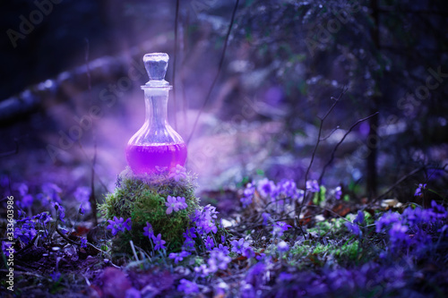 Photo magic potion in bottle in  fairy forest