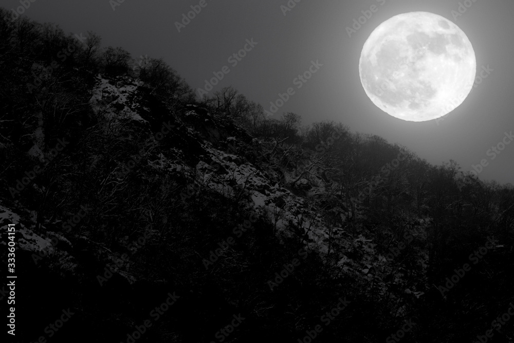 月夜 月夜