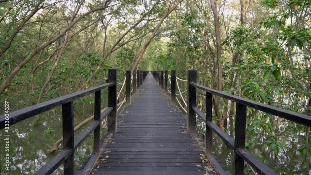 Wooden bridge for views in the mangrove forest. Mangrove forest conservation area. Wooden bridge for views in the mangrove forest. Mangrove forest conservation area.