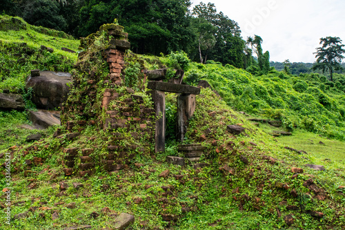 Overgrown temple Laos