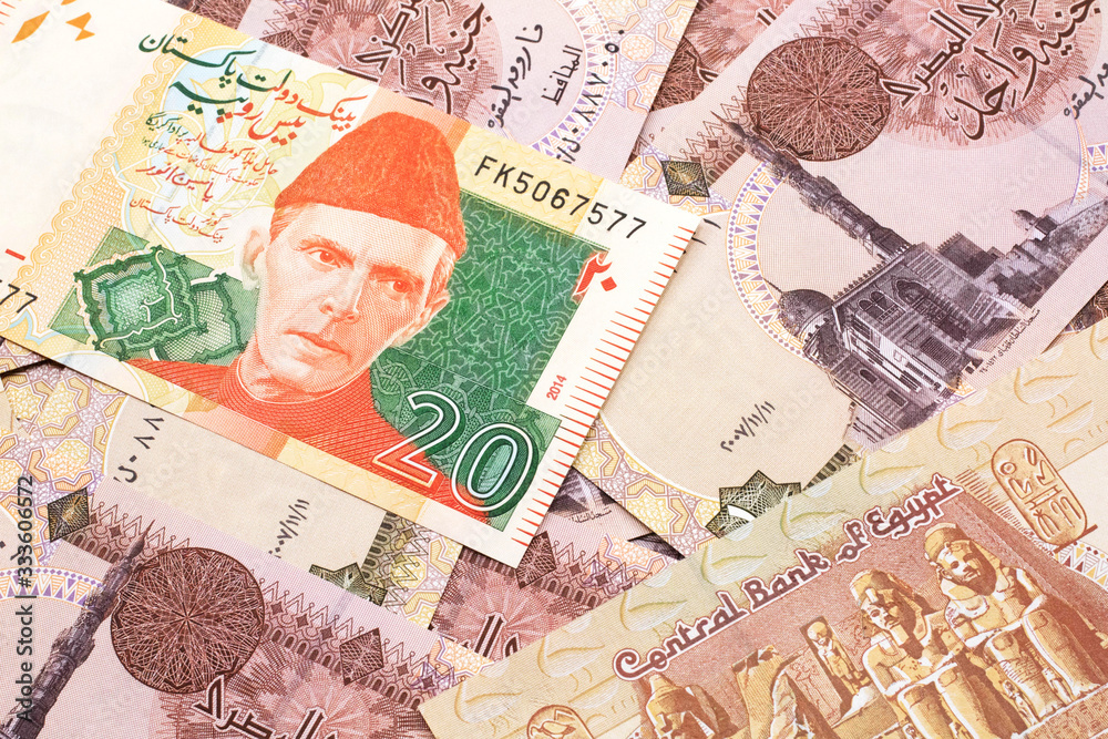 A close up image of a gray and pink twenty Pakistani rupee bank note with Egyptian one pound bank notes in macro
