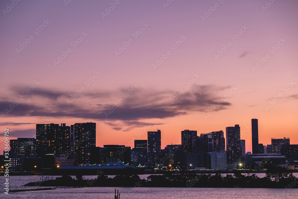 Tokyo skyline and Sumida river at sunset, Japan