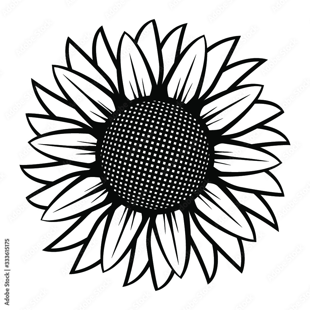 Fototapeta premium Słonecznik ilustracja w czerni i bieli na na białym tle