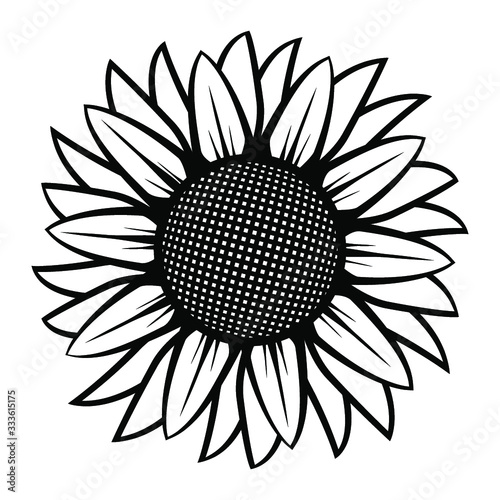 Sunflower illustration in black and white on isolated background