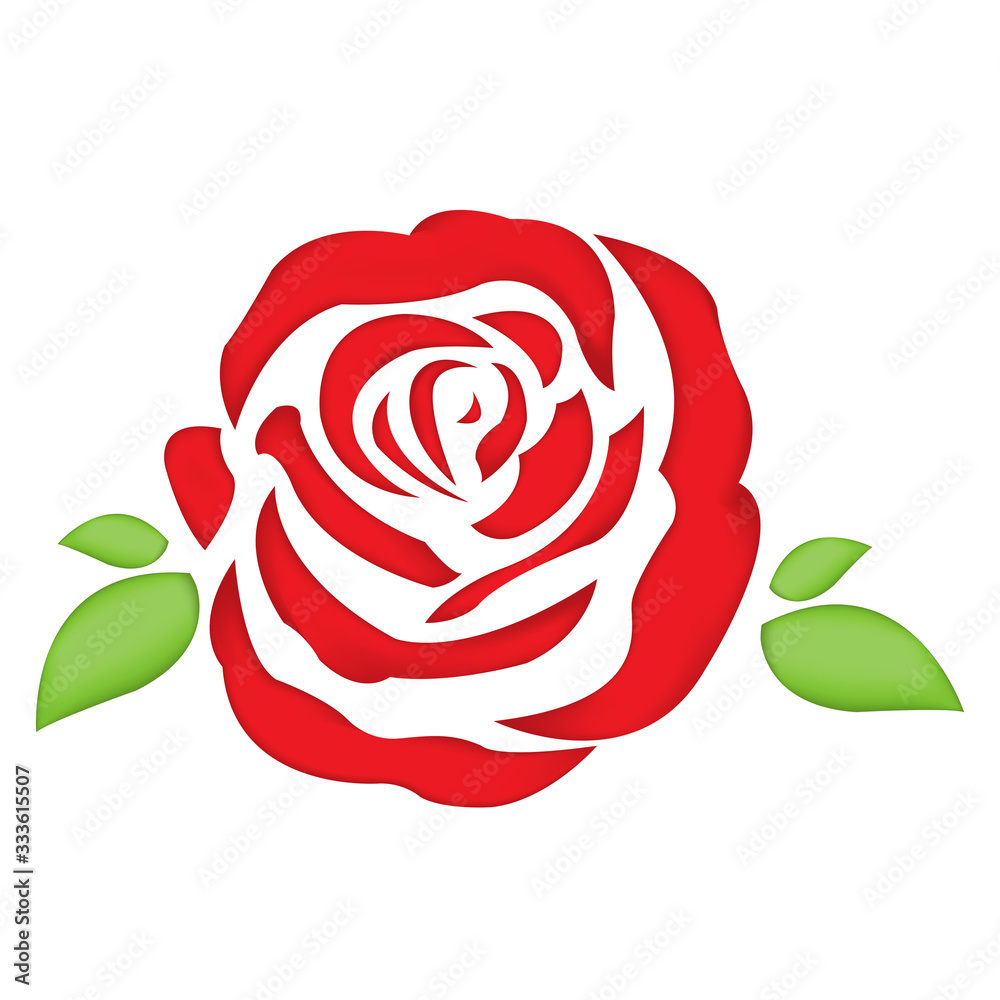 rose and leaves Isolated On White Background rose and leaves Isolated On White Background