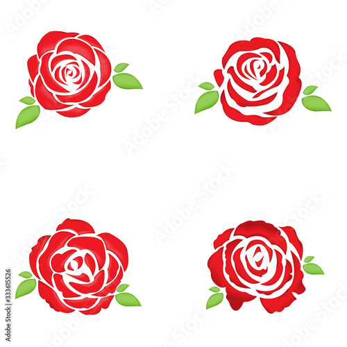 rose and leaves Isolated On White Background