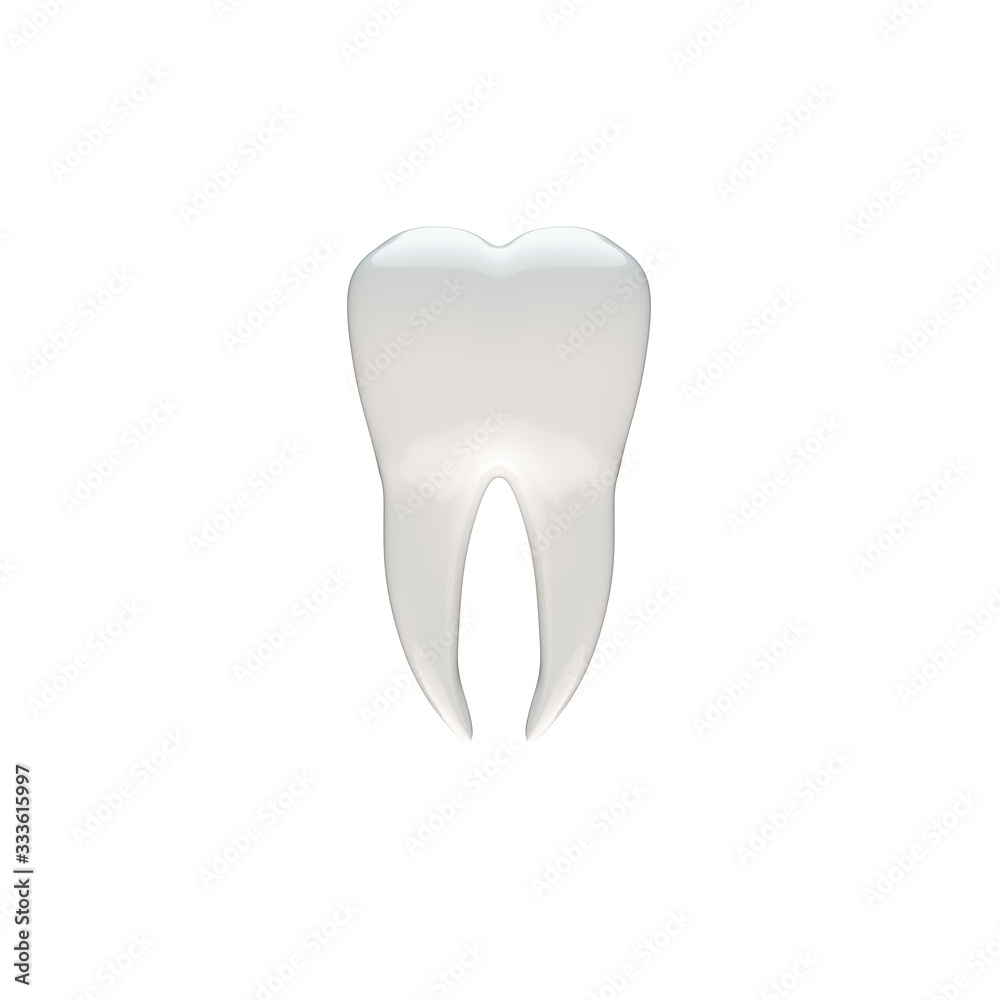Molar tooth with roots on a white background Molar tooth with roots on a white background