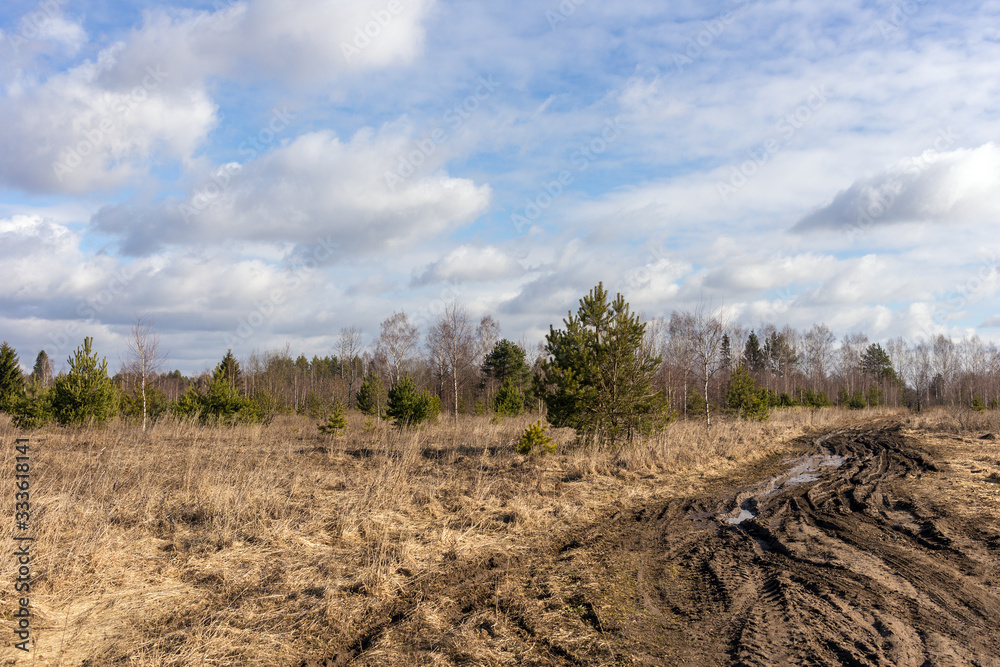 Fototapeta premium dirt road in spring