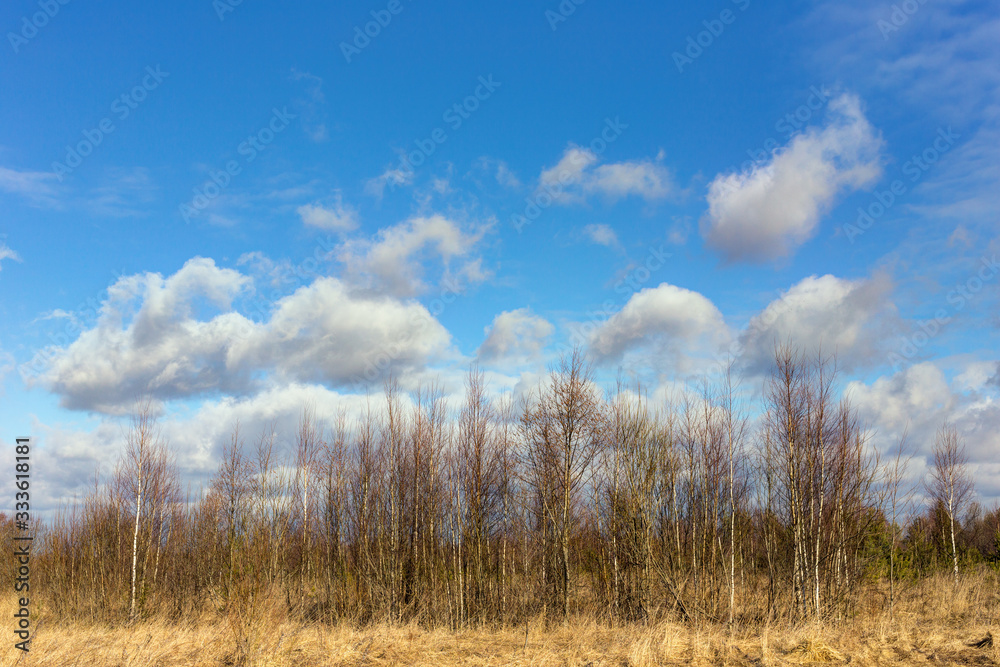 Landscape with clouds in spring