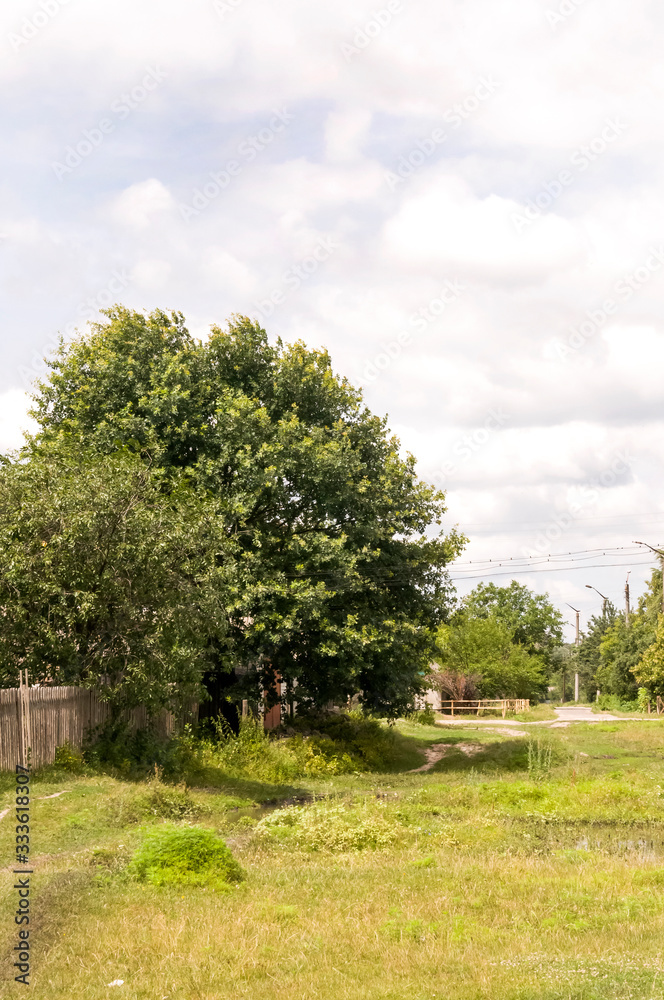 Green meadow with trees and houses far away. Small town Green meadow with trees and houses far away. Small town