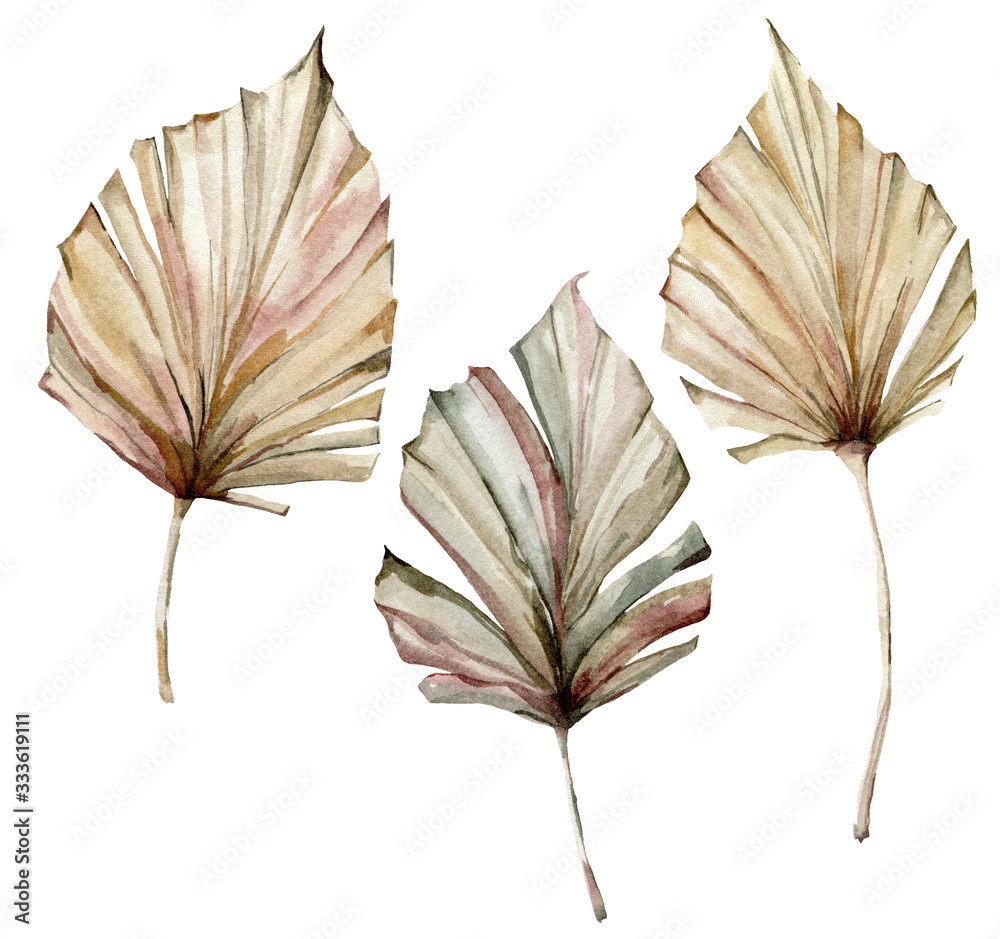 Watercolor tropical set with dry palm leaves. Hand painted exotic leaves isolated on white background. Floral illustration for design, print, fabric or background. - obrazy, fototapety, plakaty 