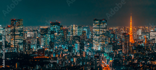 Photography Night view of Tokyo Japan 東京の夜景