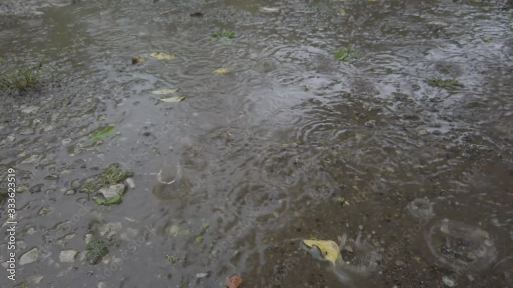 梅雨入り。庭に降る雨と水たまり 梅雨入り。庭に降る雨と水たまり