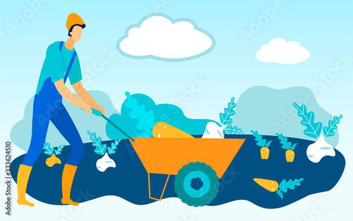 Man Carries on Trolley Vegetableson Garden. Carrot and Beet Harvest. Vector Illustration. People on Farm. Natural Products. Harvest. Farm Products. Man in Yellow Hat Grow Vegetables. Farm Business.