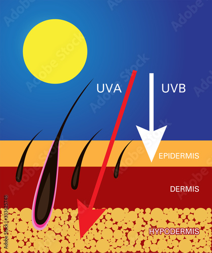 Skin compare , Protect both UVA and UVB