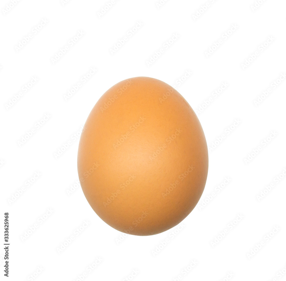 chicken egg isolated on white background chicken egg isolated on white background