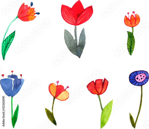 watercolor illustration  set of flowers  isolated styling illustration  red and blue Tulip