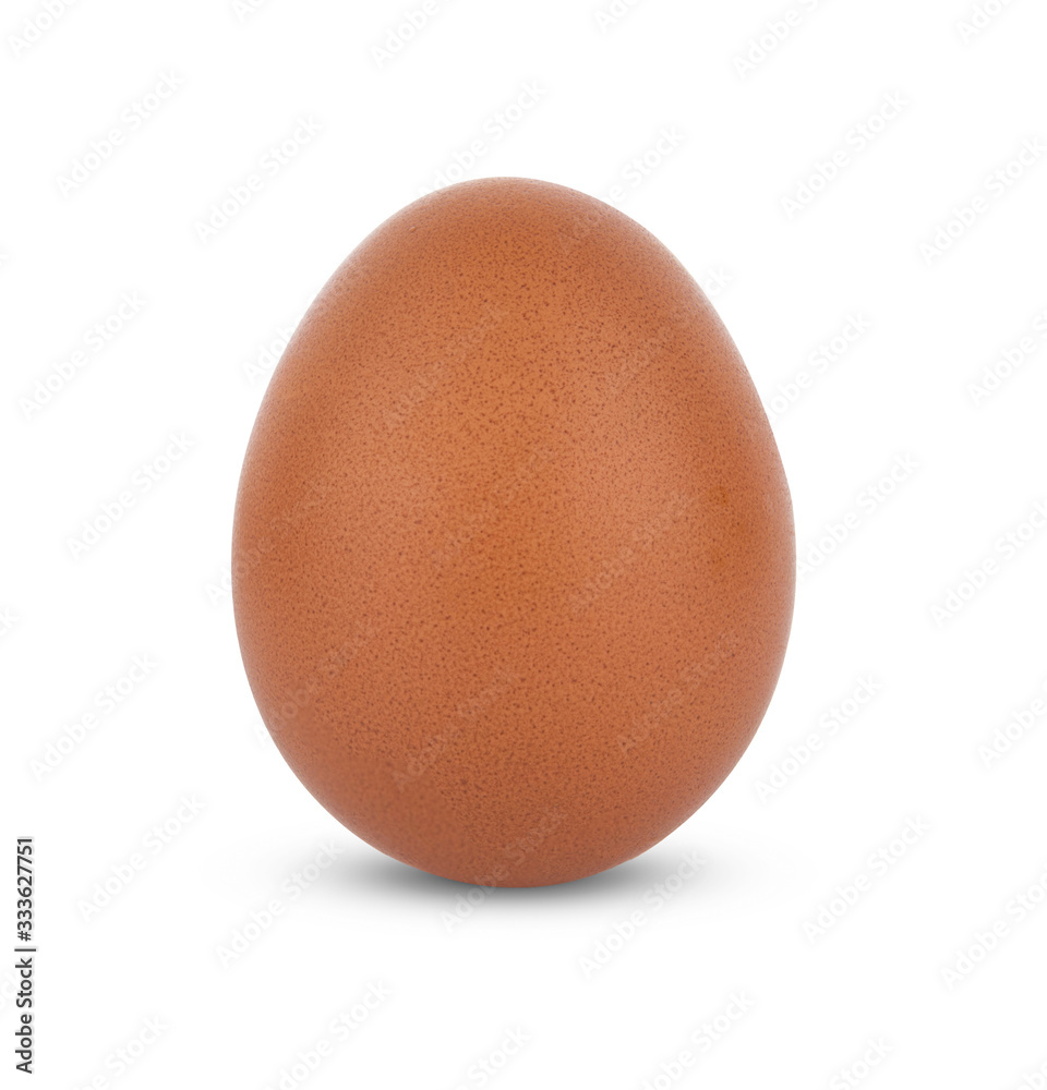 chicken egg isolated on white background chicken egg isolated on white background