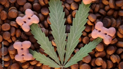 Top view green leaf of cannabis on treat pet food, cats and dogs CBD and medical marijuana. Cannabidiol CBD, medical cannabis compound used for its medicinal properties.
