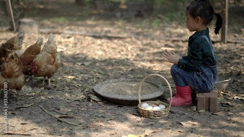 Little asian girl feeding hen happily and enjoy in the chicken farm. First learning of little children. Real life and Handheld shot