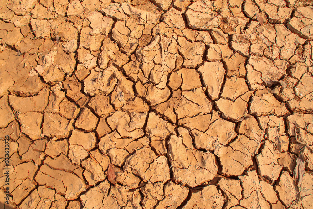 Dry cracked earth background in arid season. Many Province of North East in Thailand the ground dry. Brown cracked soil in the summer When water in Mekong, canal, brook, reservoir, dry up. Dryness. Dry cracked earth background in arid season. Many Province of North East in Thailand the ground dry. Brown cracked soil in the summer When water in Mekong, canal, brook, reservoir, dry up. Dryness.