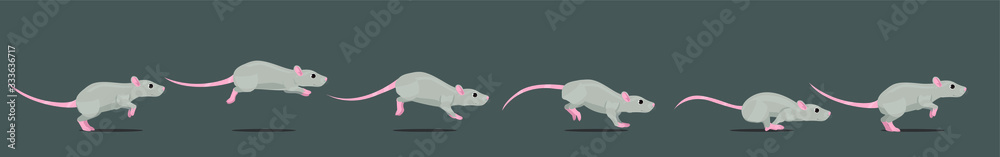 Mouse or rat running animation loop. Animated 2D character in a cartoon  style. Stock Vector | Adobe Stock