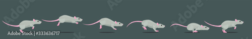 Mouse or rat running animation loop. Animated 2D character in a cartoon style.