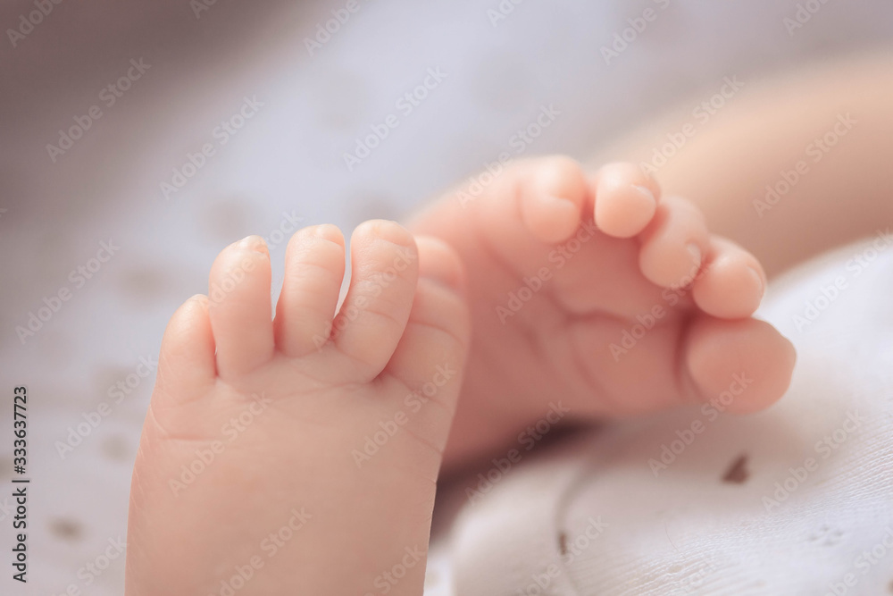 newborn baby feet on a white background newborn baby feet on a white background