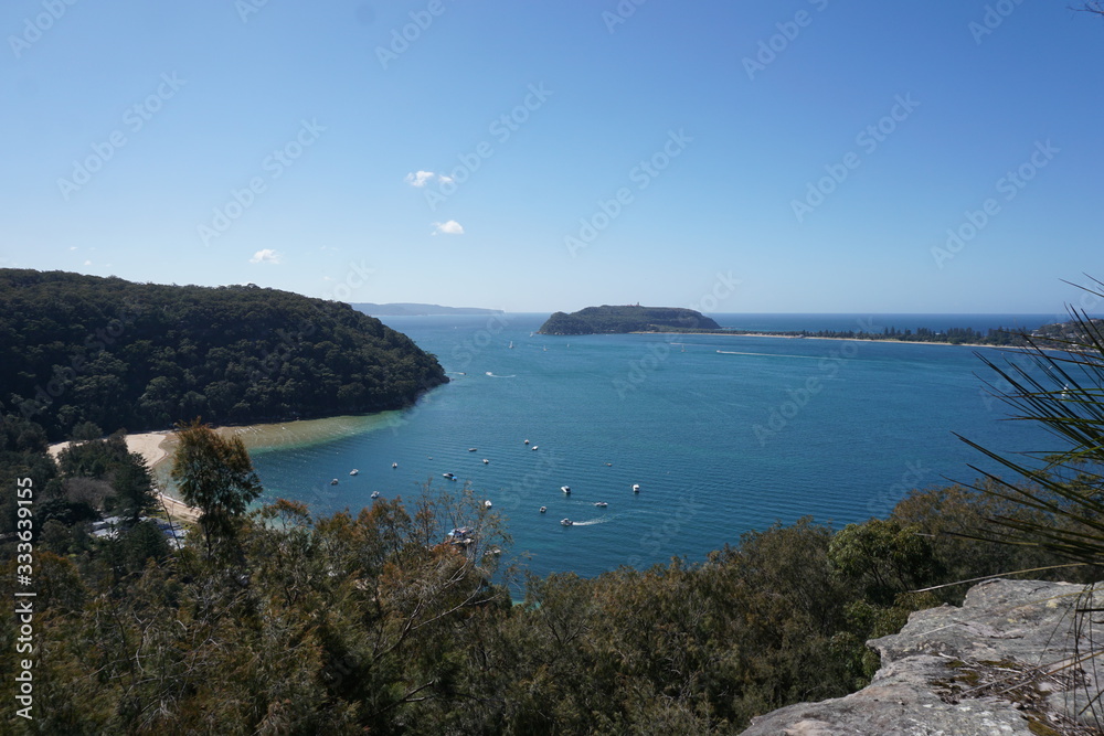 Fototapeta premium Palm Beach