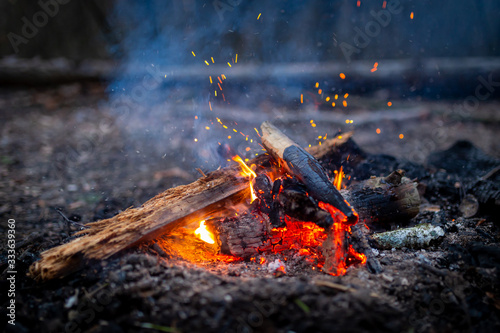 Campfire with sparks in forest outdoor camping