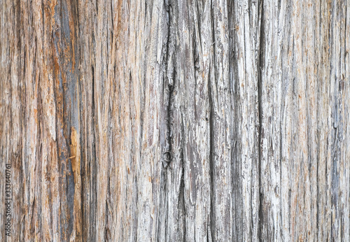 Wallpaper Mural Tree bark surface backdrop template Torontodigital.ca