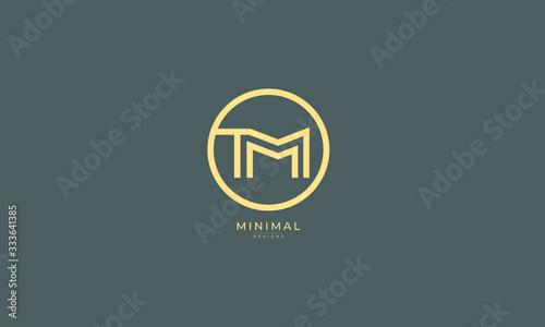 Alphabet letter icon logo TM