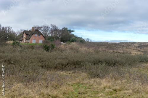 Landscape with traditional house on the island of Sylt in spring