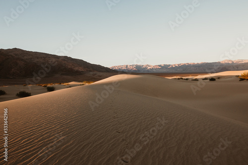 Mesquite Ebene im Death Valley am Morgen